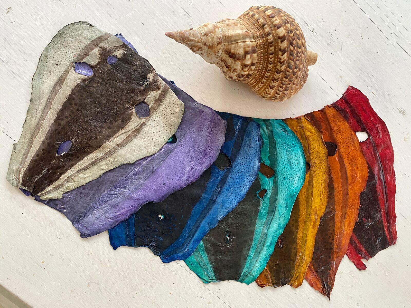 IW:LEARN (UNDP) · Tackling invasive species through innovation and community