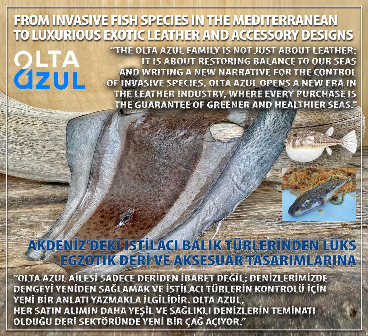 Magazine Leather · Akdeniz'deki istilacı balık türlerinden lüks egzotik deri ve aksesuar tasarımlarına